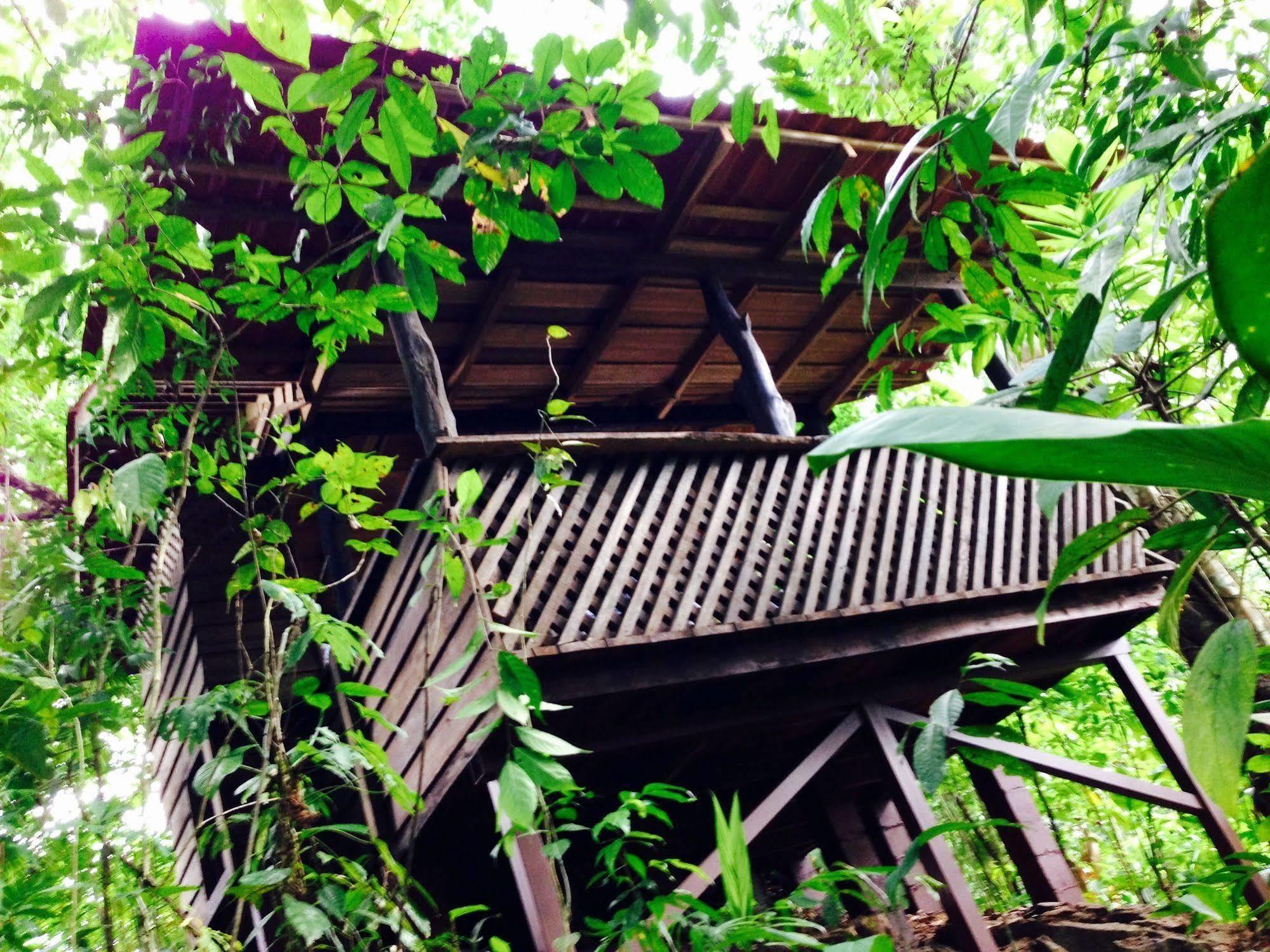 Arenal Green La Fortuna Exterior photo